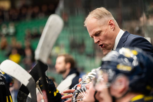 Magnus Hävelid, Head coach of Sweden