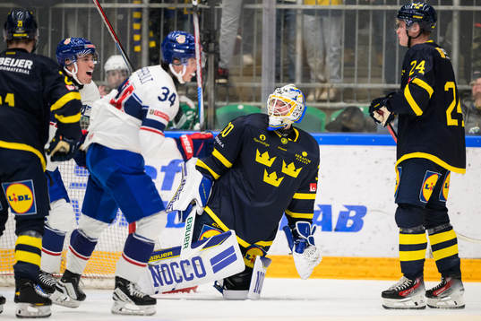Goaltender Melker Thelin of Sweden looks dejected