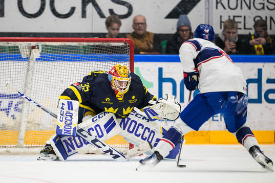 Goaltender Hugo Hävelid of Sweden and Will Smith of USA