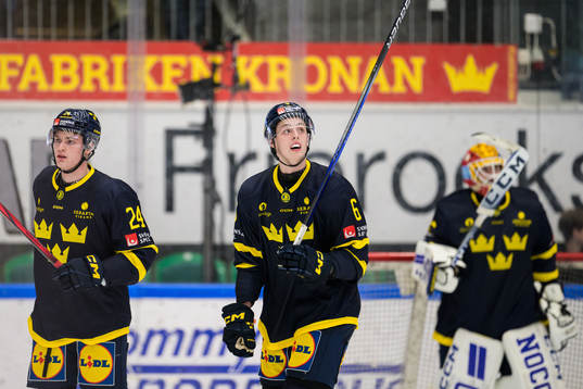 Tom Willander and Anton Johansson of Sweden look dejected