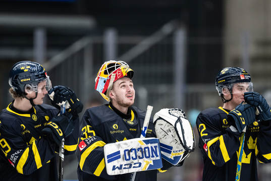 Goaltender Hugo Hävelid of Sweden looks dejected