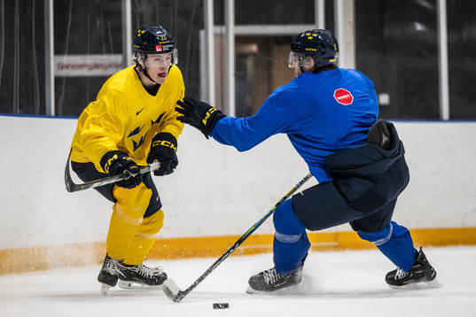 Jonathan Lekkerimäki and Isac Born of Sweden at a practice