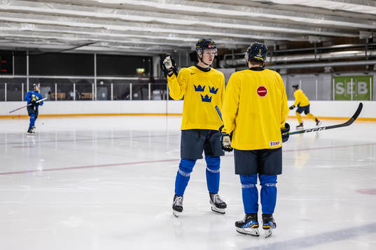 Filip Bystedt and Mattias Hävelid of Sweden at a practice