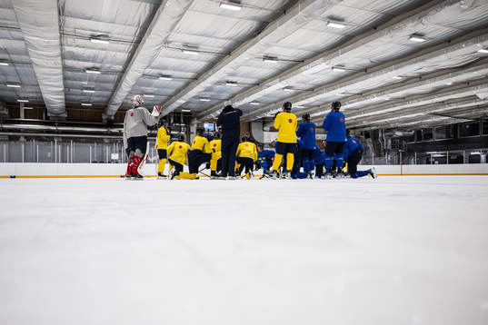 The players of Sweden gather at a practice session