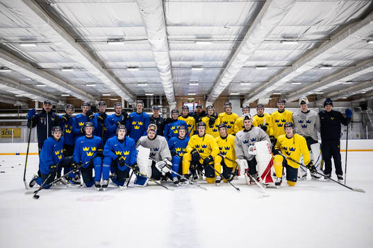 The players and staff of Sweden pose for a team group photo