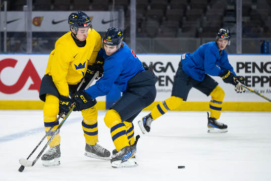Elias Salomonsson and Liam Öhgren of Sweden at a practice