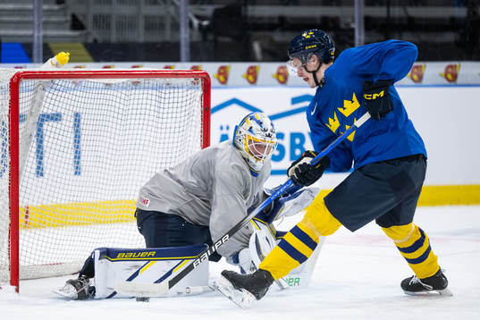 Goaltender Melker Thelin and Anton Johansson of Sweden at a