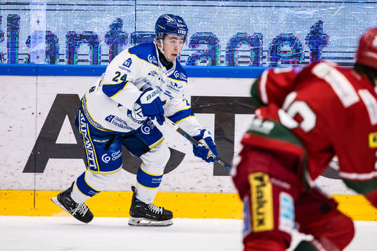Leksands Arvid Eljas