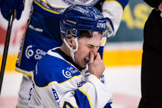 Leksands Marcus Karlberg