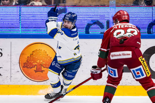 Leksands Arvid Eljas