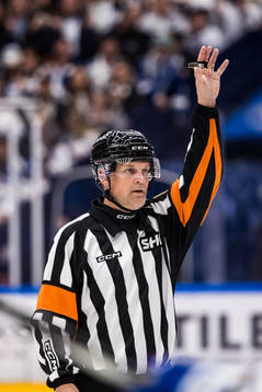 Domare Mikael Nord