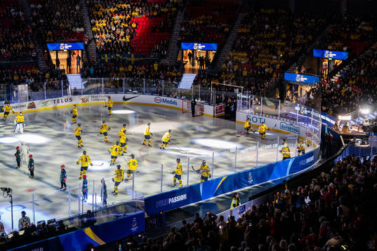 Players of Sweden