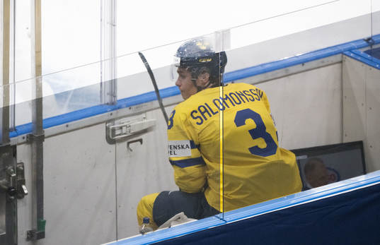 Elias Salomonsson of Sweden looks dejected