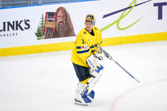 Goaltender Hugo Hävelid of Sweden celebrates