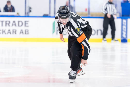 Domare Richard Magnusson har ont