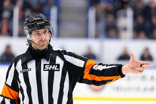 Domare Mikael Sjöqvist