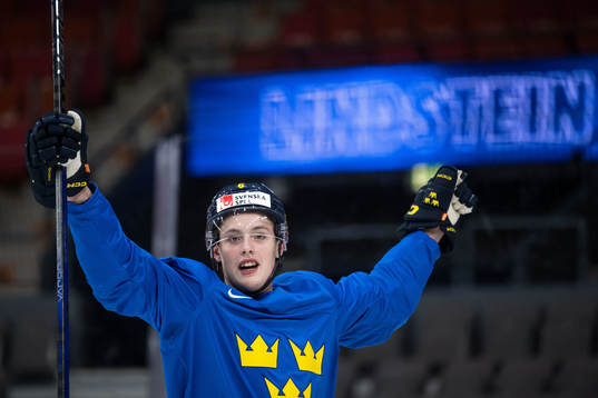 Anton Johansson of Sweden celebrates at a practice session