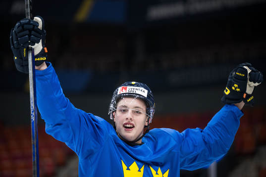 Anton Johansson of Sweden celebrates at a practice session