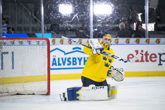 Goaltender Hugo Hävelid of Sweden