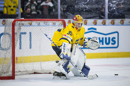 Goaltender Hugo Hävelid of Sweden