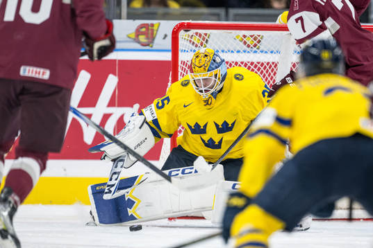Goaltender Hugo Hävelid of Sweden celebrating