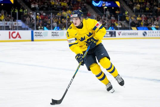 Mattias Hävelid of Sweden
