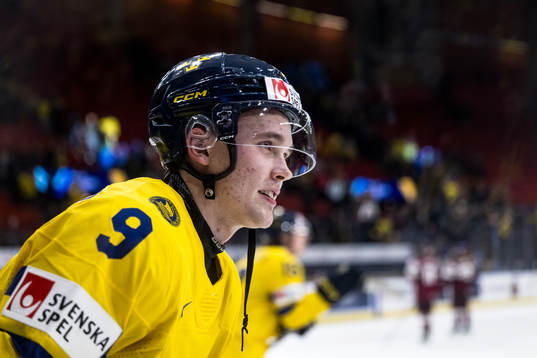 Theo Lindstein of Sweden celebrates