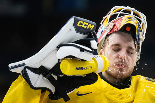 Goaltender Hugo Hävelid of Sweden