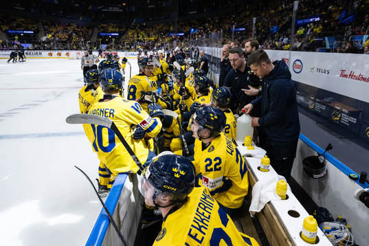 The bench of Sweden