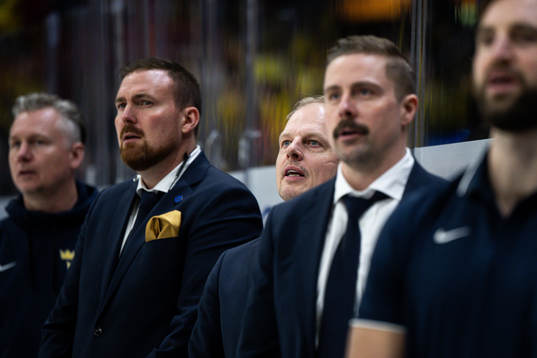 Magnus Hävelid, head coach of Sweden