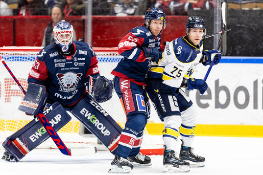 Linköpings Arvid Aronsson ochHV71s Radan Lenc