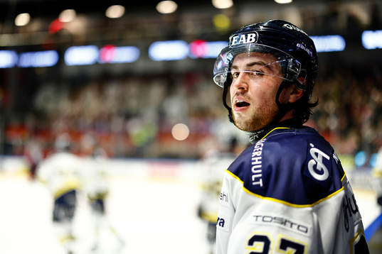 HV71s Robert Nardella