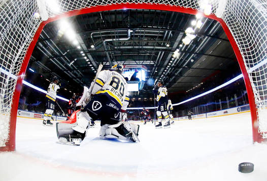 HV71s målvakt Frederik Dichow deppar