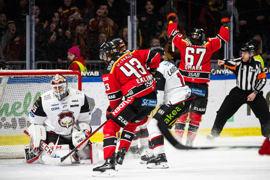 Malmö Redhawks målvakt Adam Werner deppar och Luleås