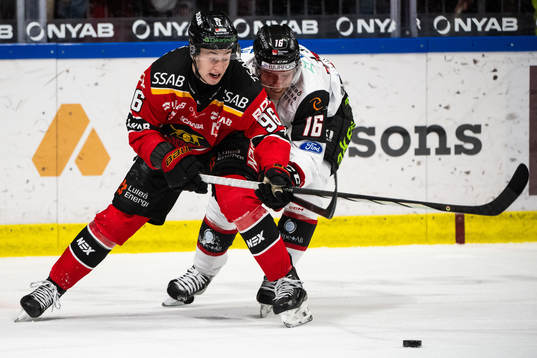 Luleås Pontus Andreasson och Malmö Redhawks Matias Lassen