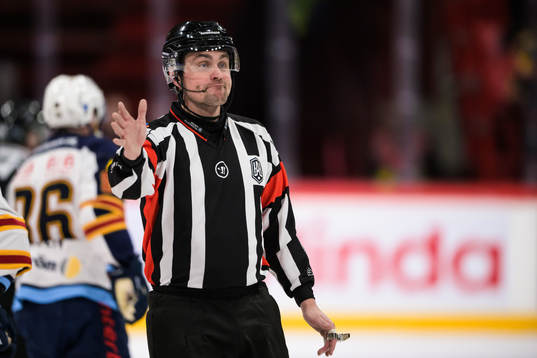 Domare Jesper Karlsson
