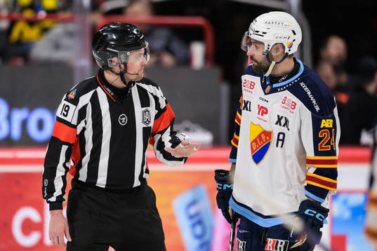 Domare Jesper Karlsson och Djurgårdens Ludvig Rensfeldt
