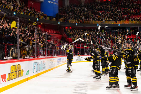 AIKs spelare och supportrar jublar