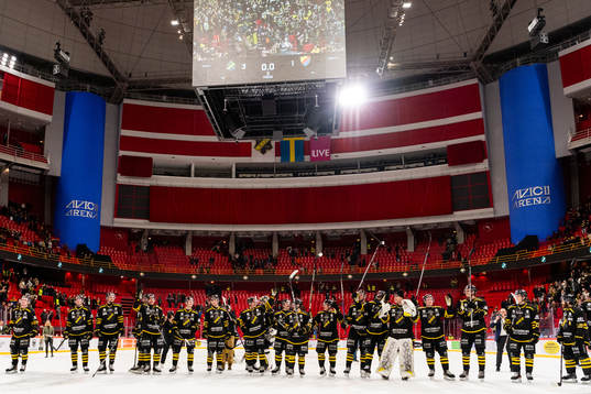 AIKs spelare jublar