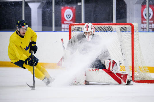Jonathan Lekkerimäki and goaltender Kevin Reidler of