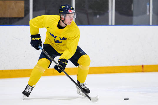 Otto Stenberg of Sweden at a practice session