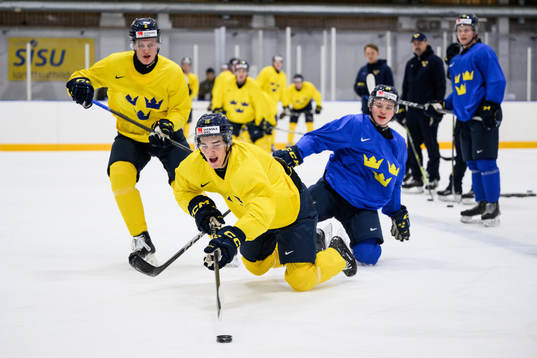Elias Pettersson, David Edstrom and Zeb Forsfjäll of