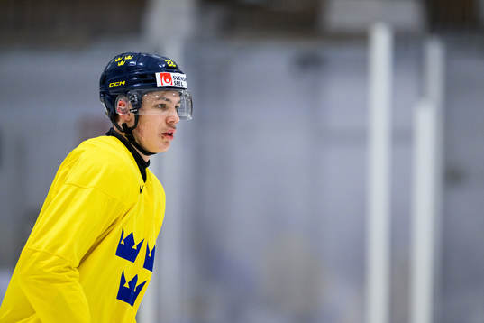 Anton Wahlberg of Sweden at a practice session