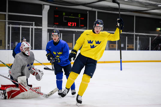 Elias Pettersson and Zeb Forsfjäll of Sweden at a practice