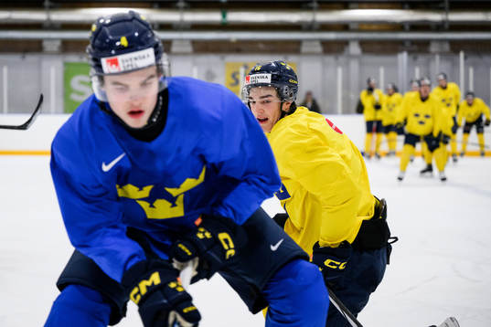 Axel Sandin-Pellikka and David Edstrom of Sweden at a