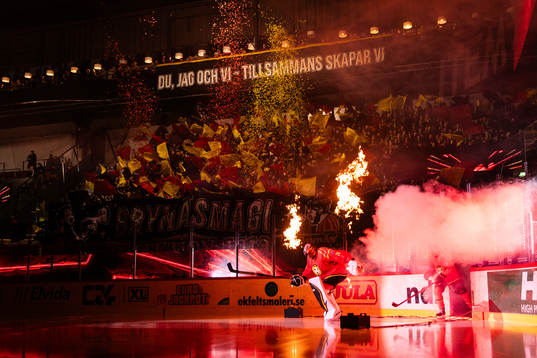 Brynäs spelare gör entré