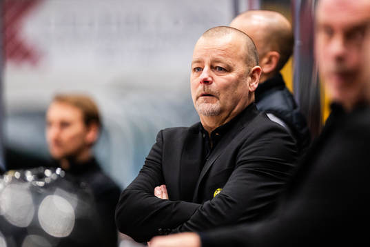 Brynäs tränare Niklas Gällstedt