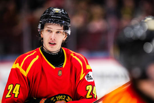 Brynäs Linus Lindblom