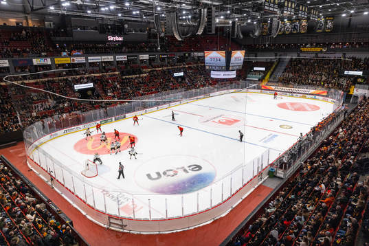 Monitor ERP Arena