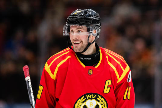 Brynäs Johan Larsson